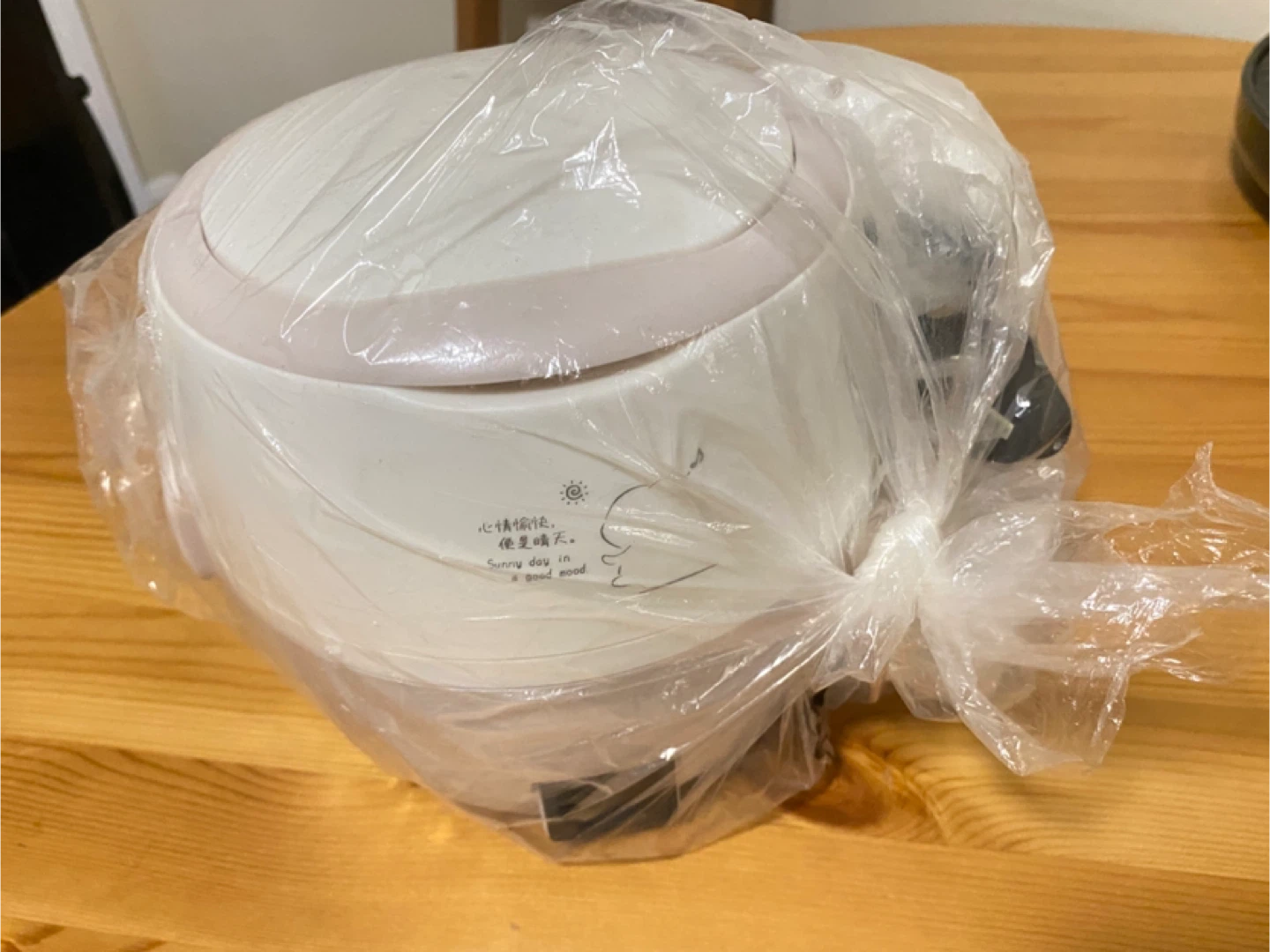 Mini Rice Cooker