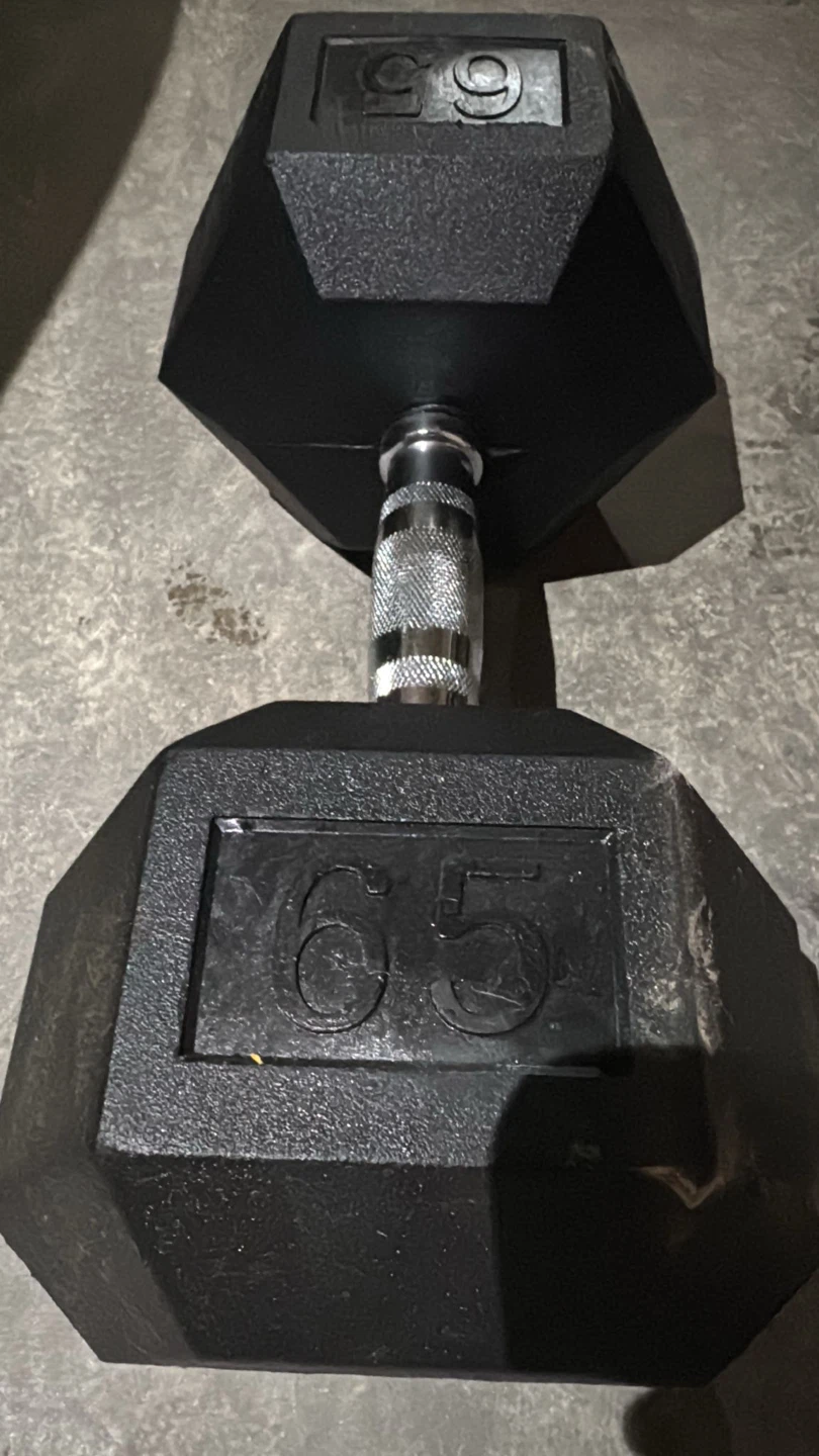 Dumbbells 65 pound single