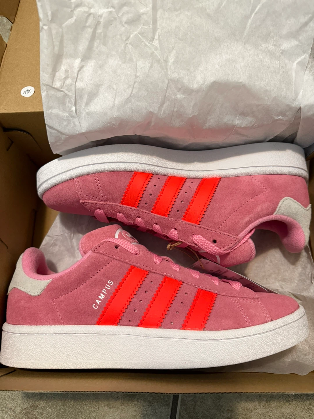 Adidas Campus Shoes