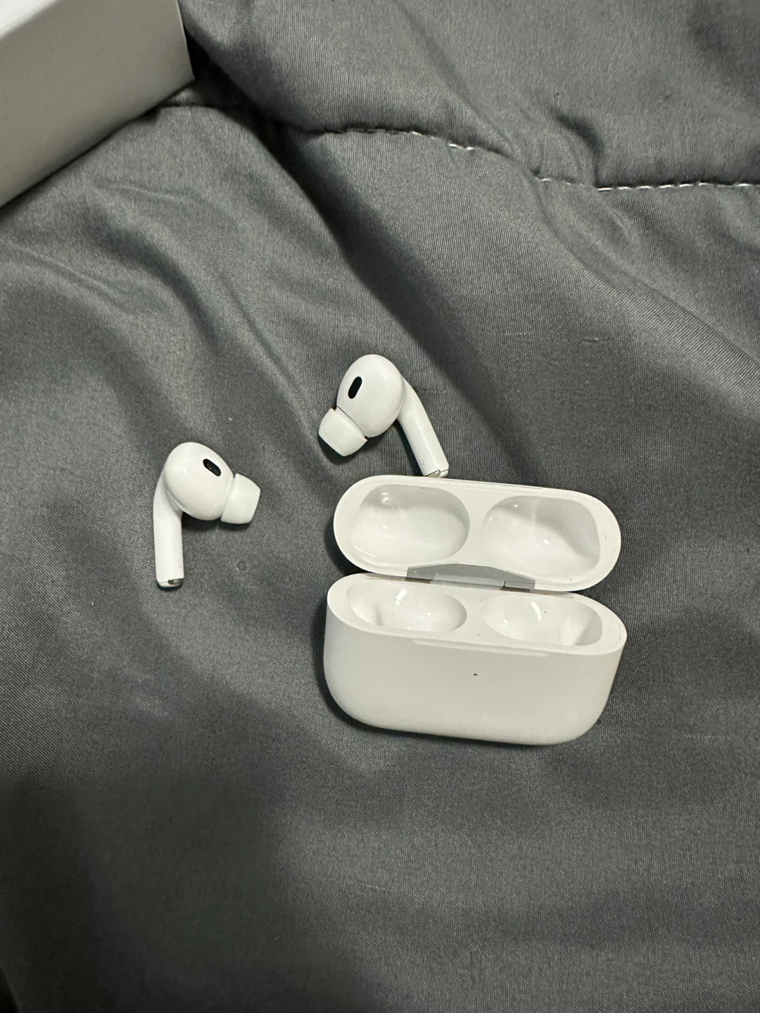 Apple AirPods Pro (2nd generation) Charging Case & Earbuds - photo 3