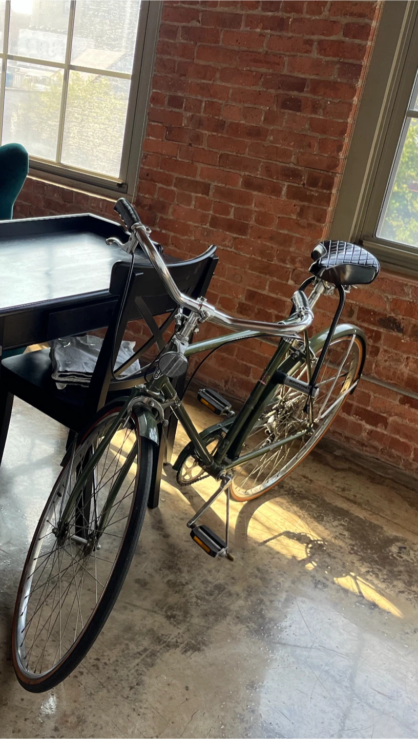 Vintage Cruiser Bicycle - Dark Green