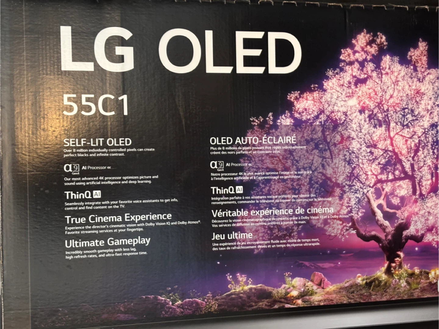 LG OLED 55C1 TV