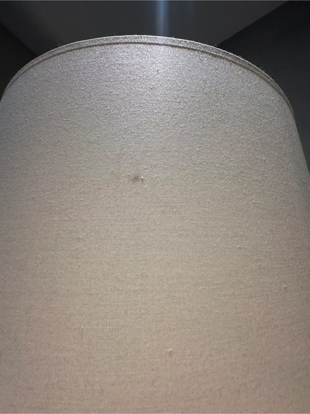 Oversize Modern Floor Lamp - photo 5
