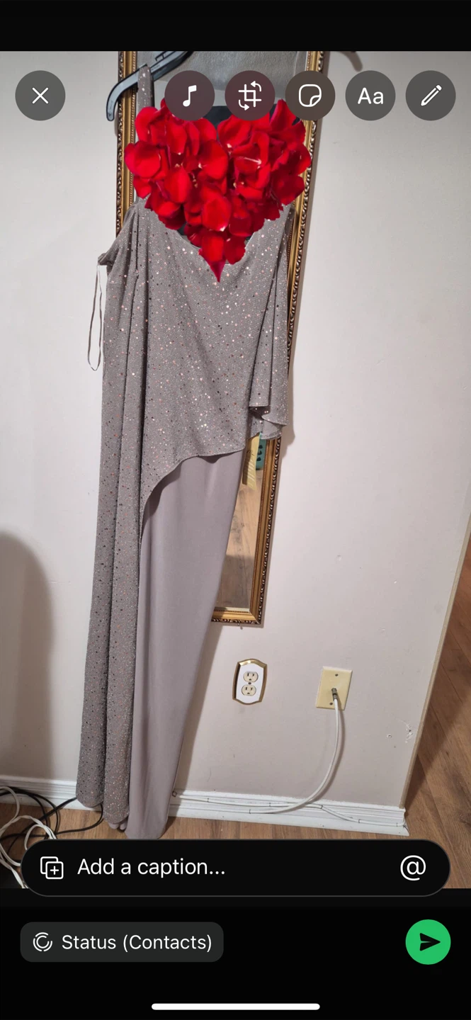 Sparkly One-Shoulder Formal Dress brand new