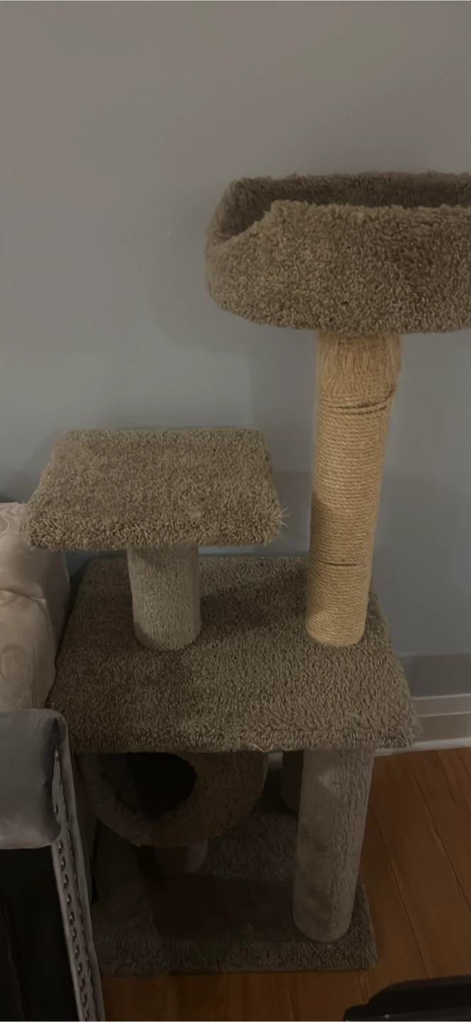 Carpeted Cat Tree with Condo and Perch