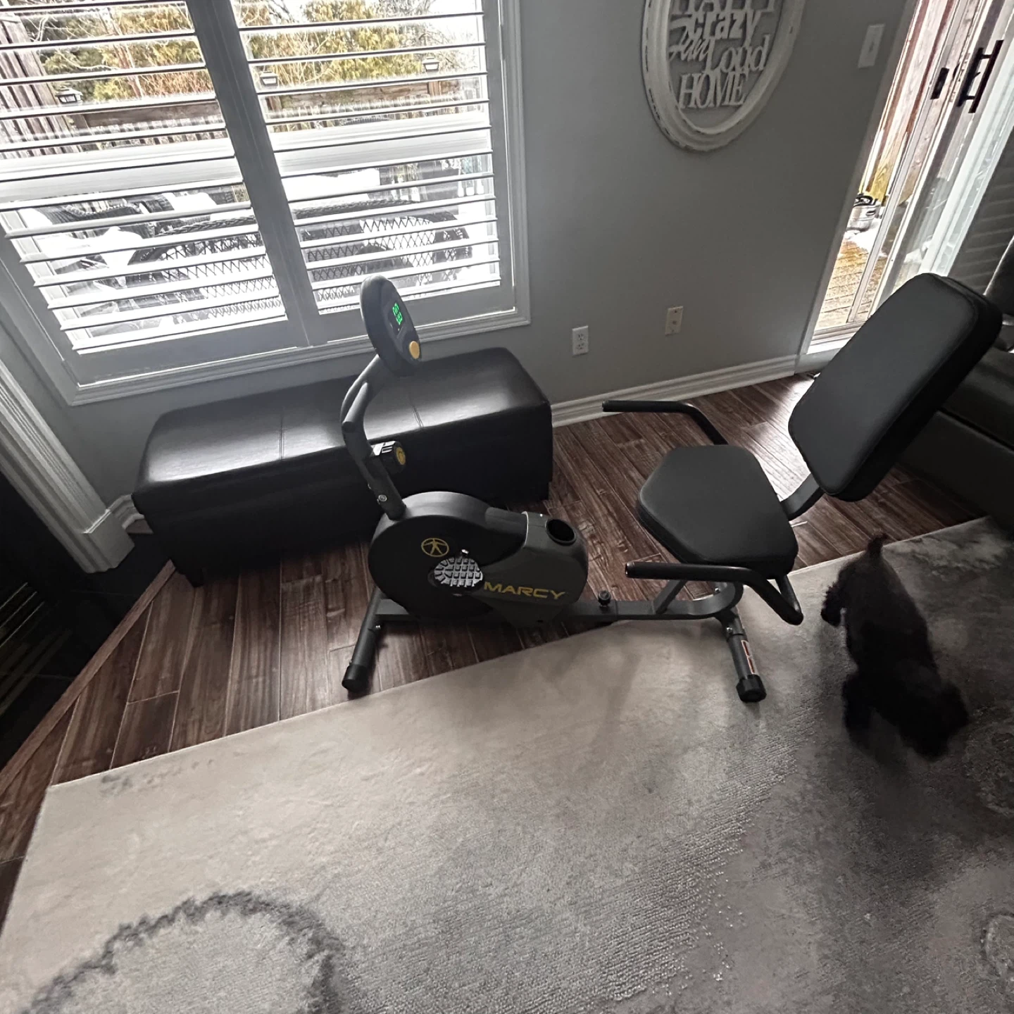 Marcy Recumbent Exercise Bike - photo 3
