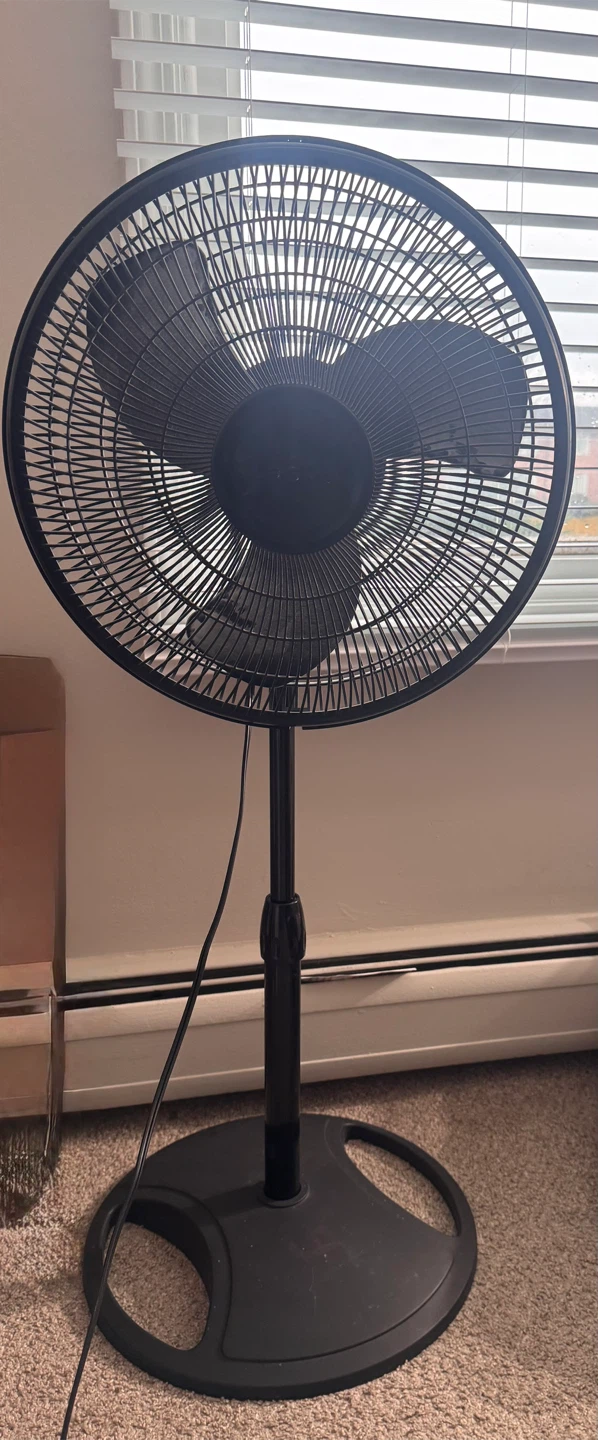 Lasko Black Pedestal Fan