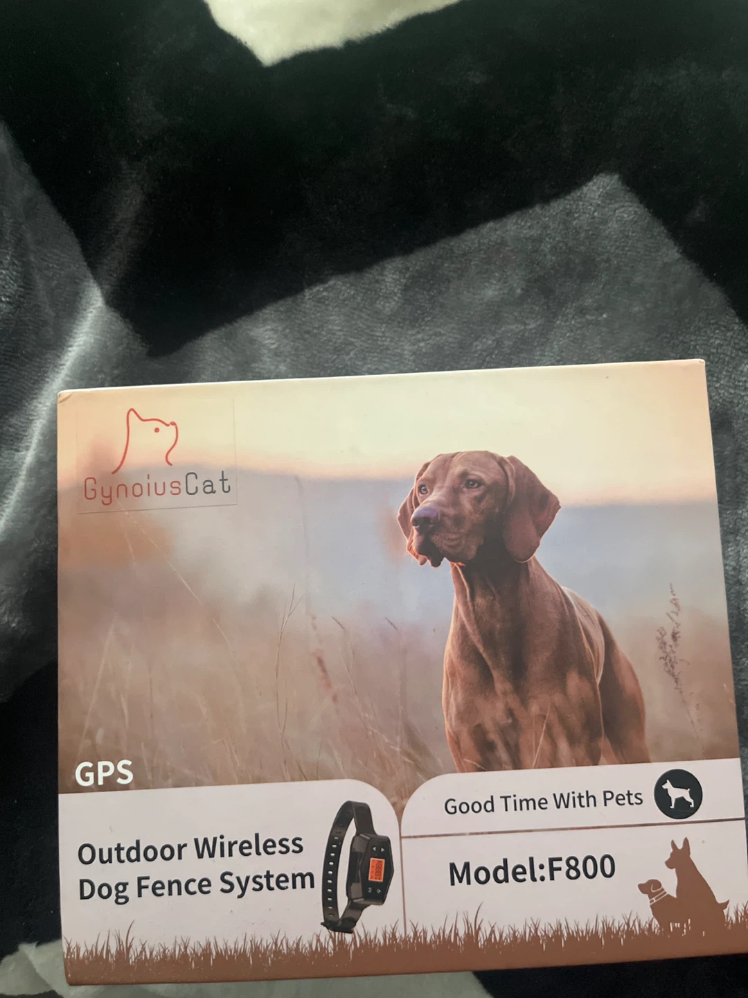 Outdoor wireless dog fence system gps