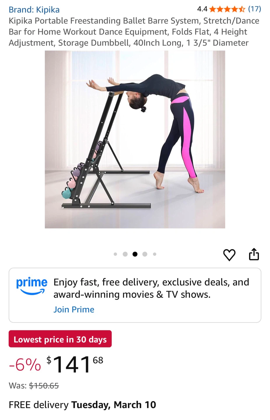 Kipika Portable Freestanding Ballet Barre System