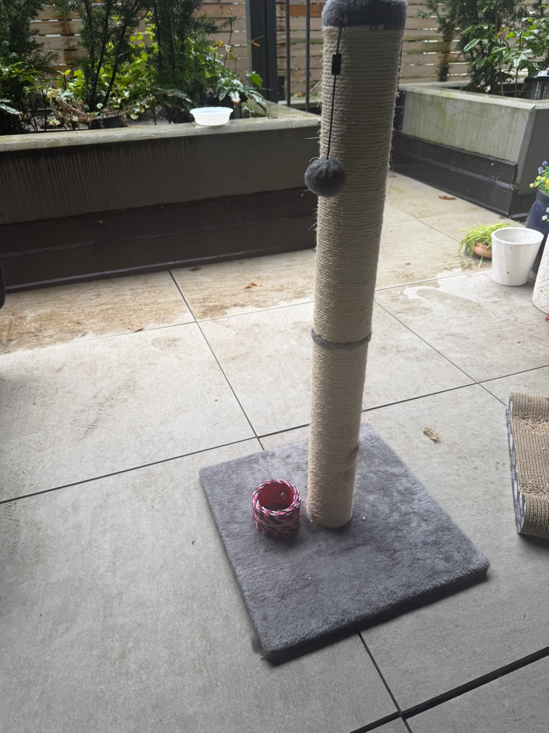 Tall Cat Scratching Post with Toy