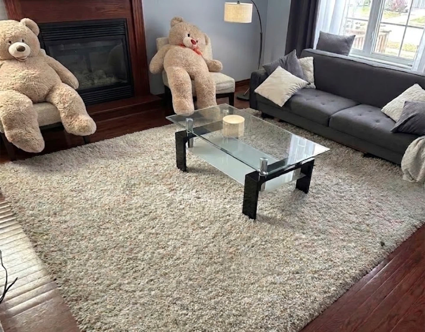 Large Shaggy Area Rug - Cream/Off-White