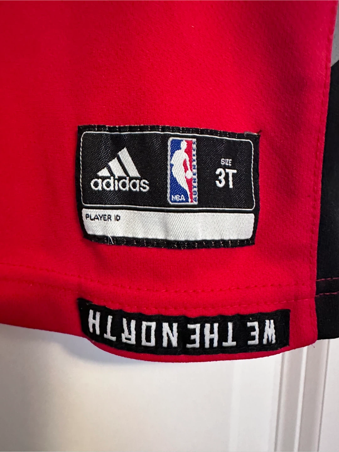 Toronto Raptors "We The North" Jersey - Size 3T - photo 4