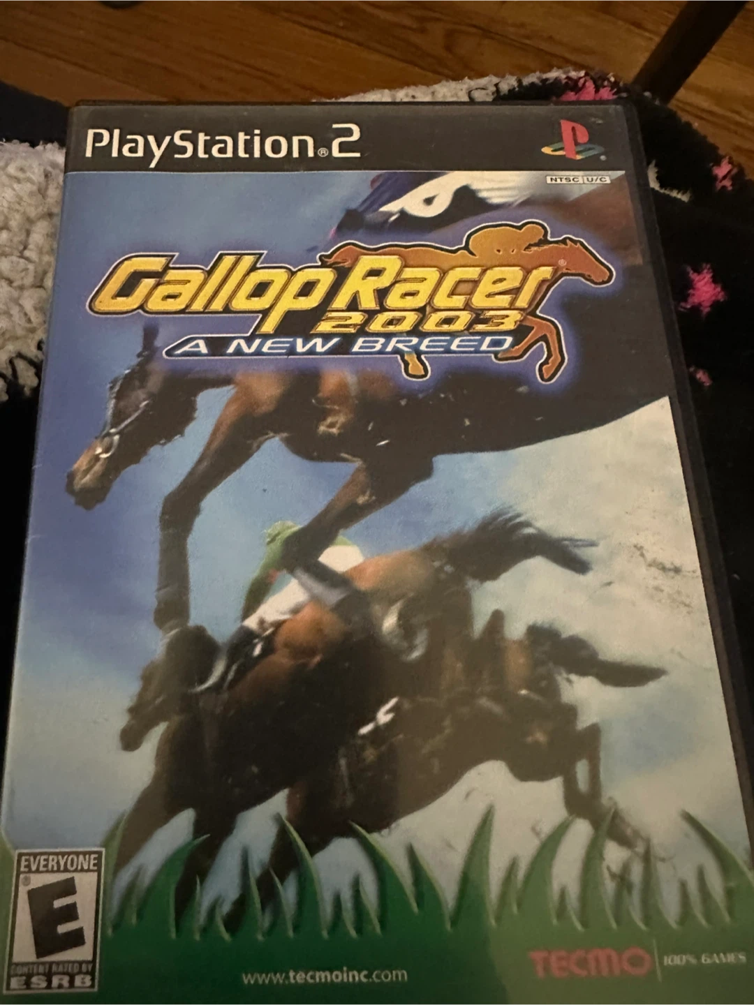 PlayStation 2 Game: Gallop Racer 2003 - A New Breed