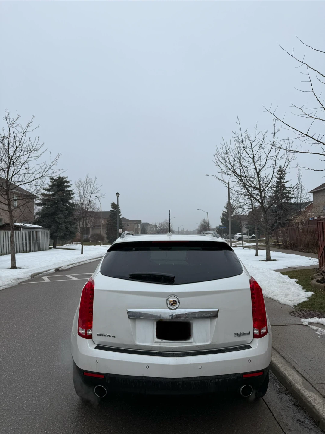 2010 Cadillax Srx Luxury Collection - photo 5
