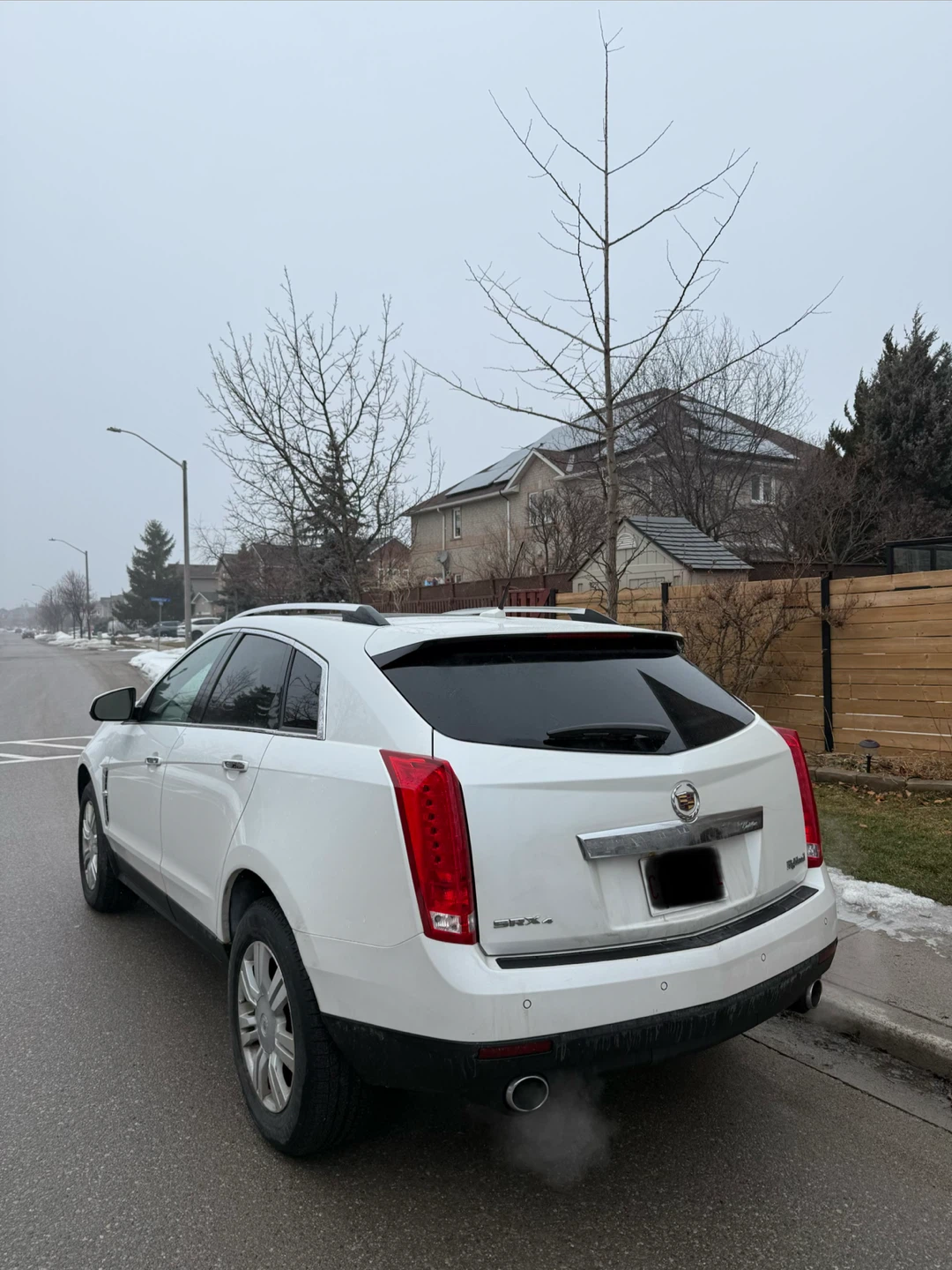2010 Cadillax Srx Luxury Collection - photo 4