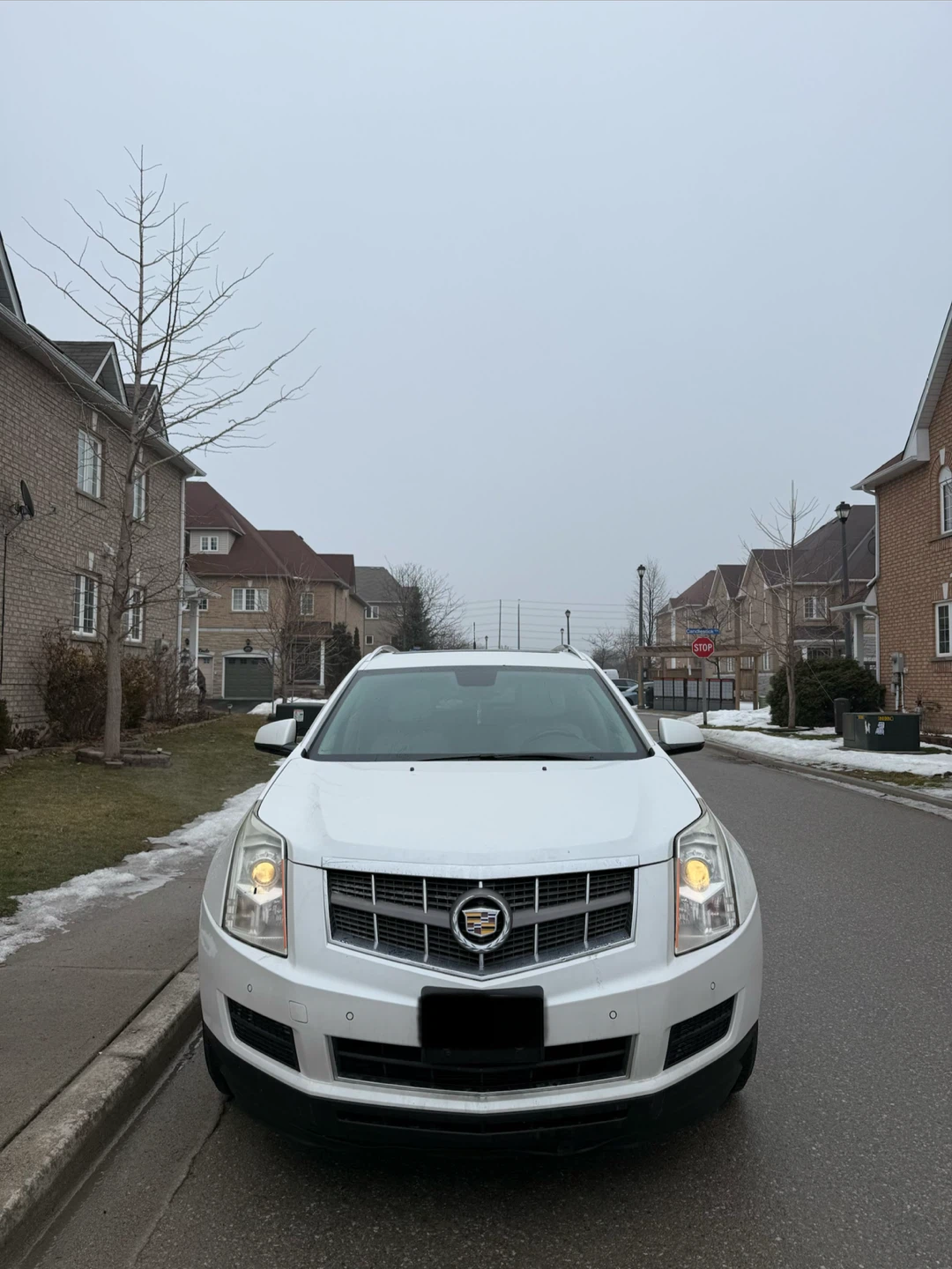 2010 Cadillax Srx Luxury Collection - photo 2