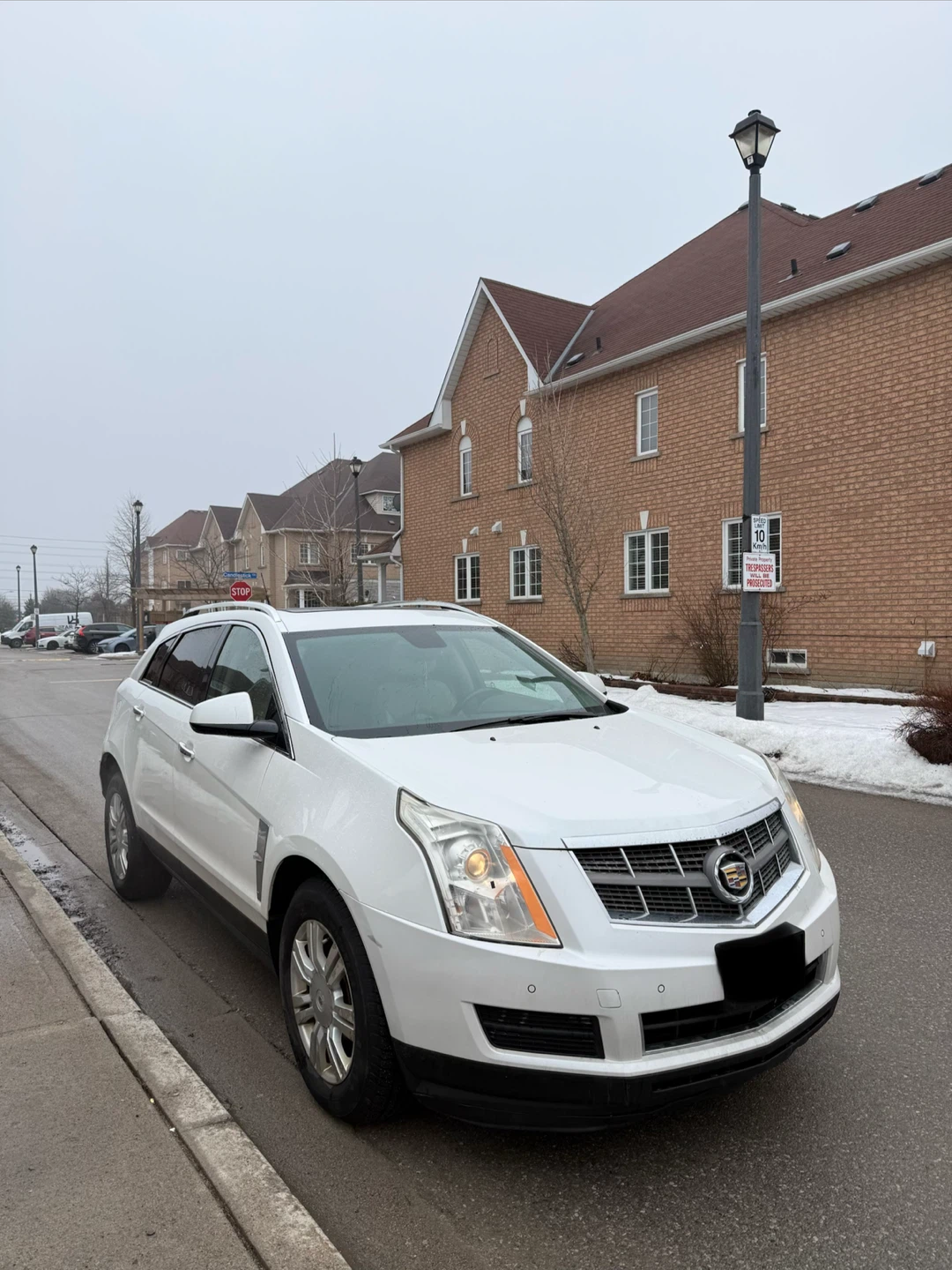 2010 Cadillax Srx Luxury Collection - photo 3