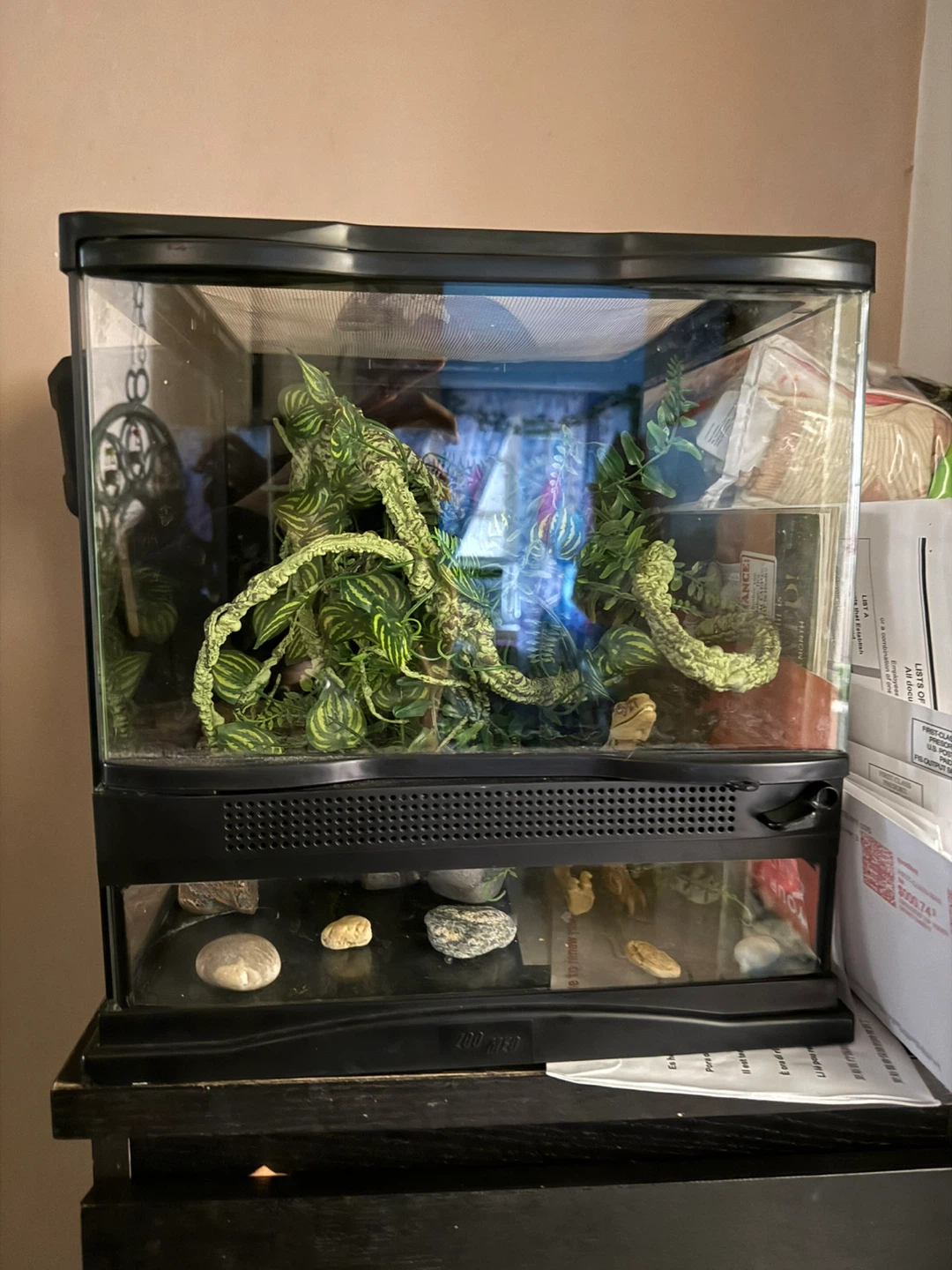 1 gecko tank - photo 2