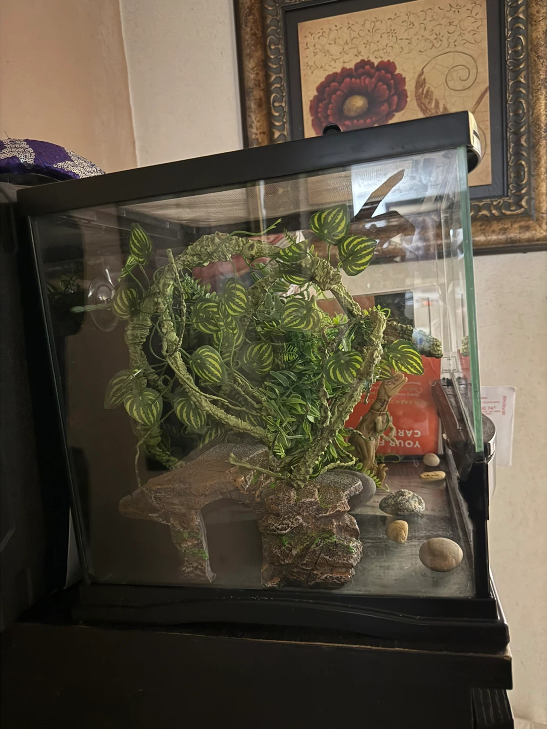 1 gecko tank
