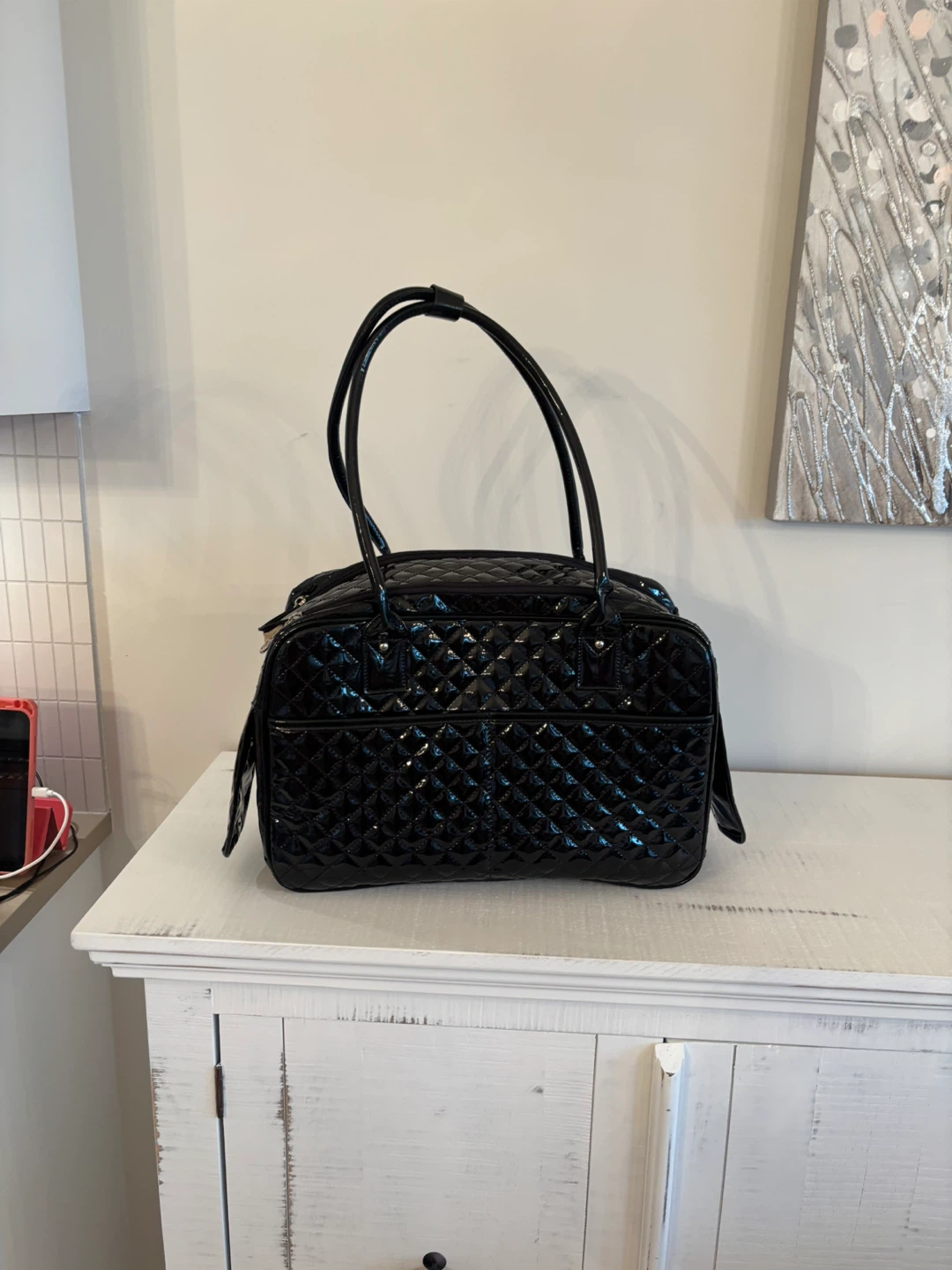 Black dog carrier for small dog