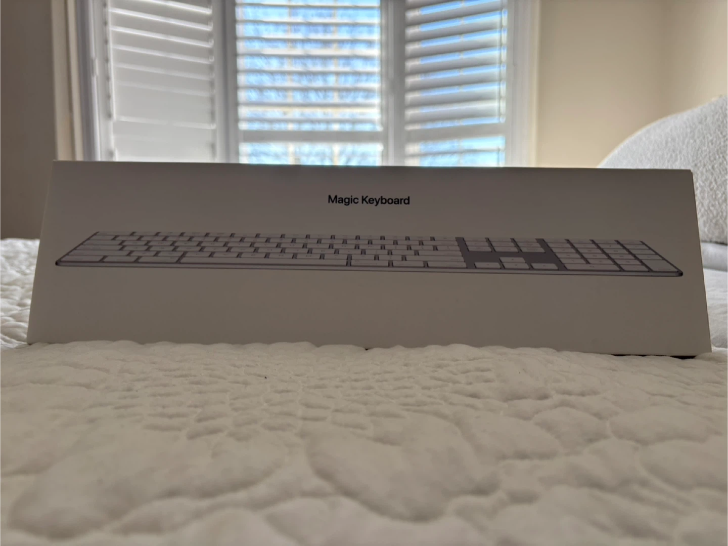 Apple Magic Keyboard with Numeric Keypad