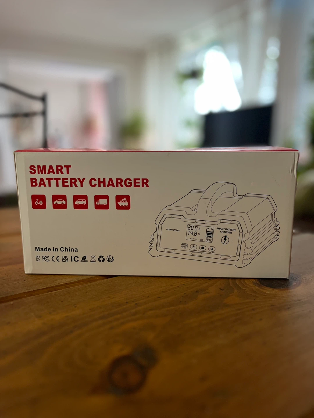 Car Battery Charger 12V/24V - photo 4