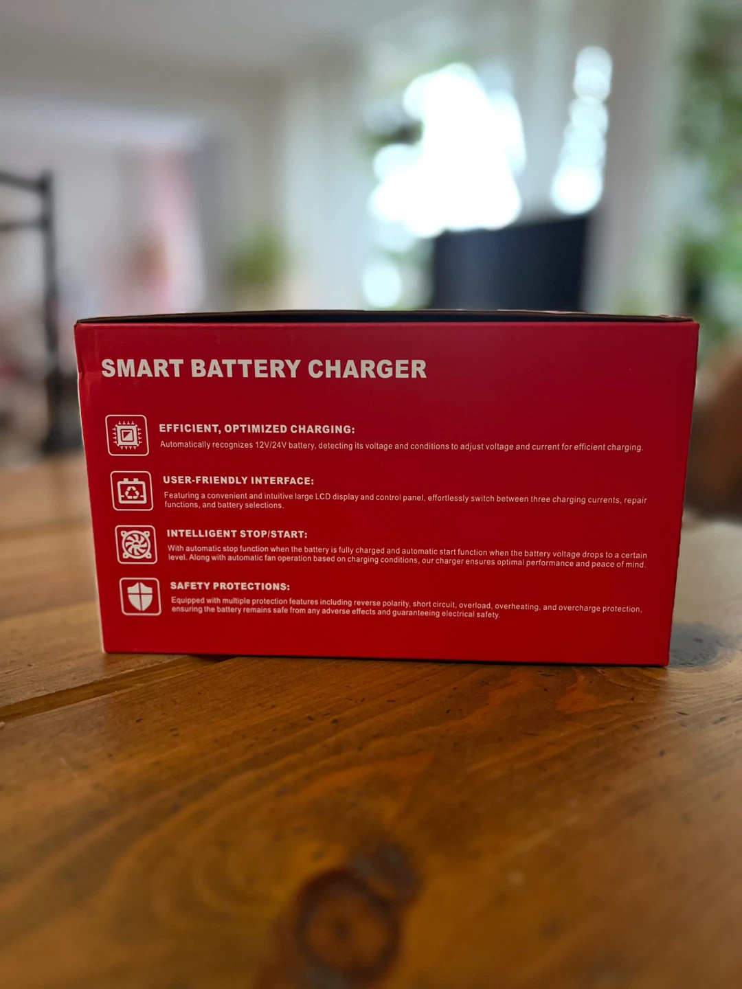 Car Battery Charger 12V/24V - photo 5