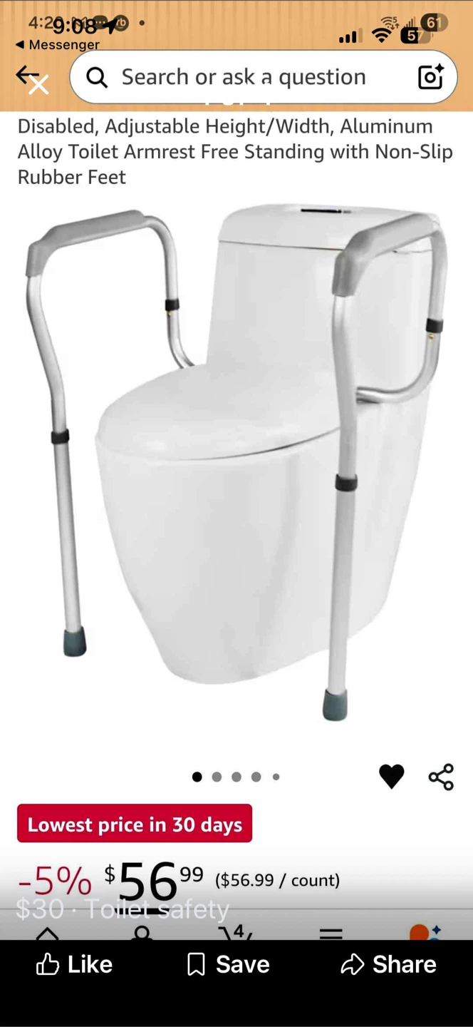TORIBIO Toilet Safety Frame Grab Bars - photo 2
