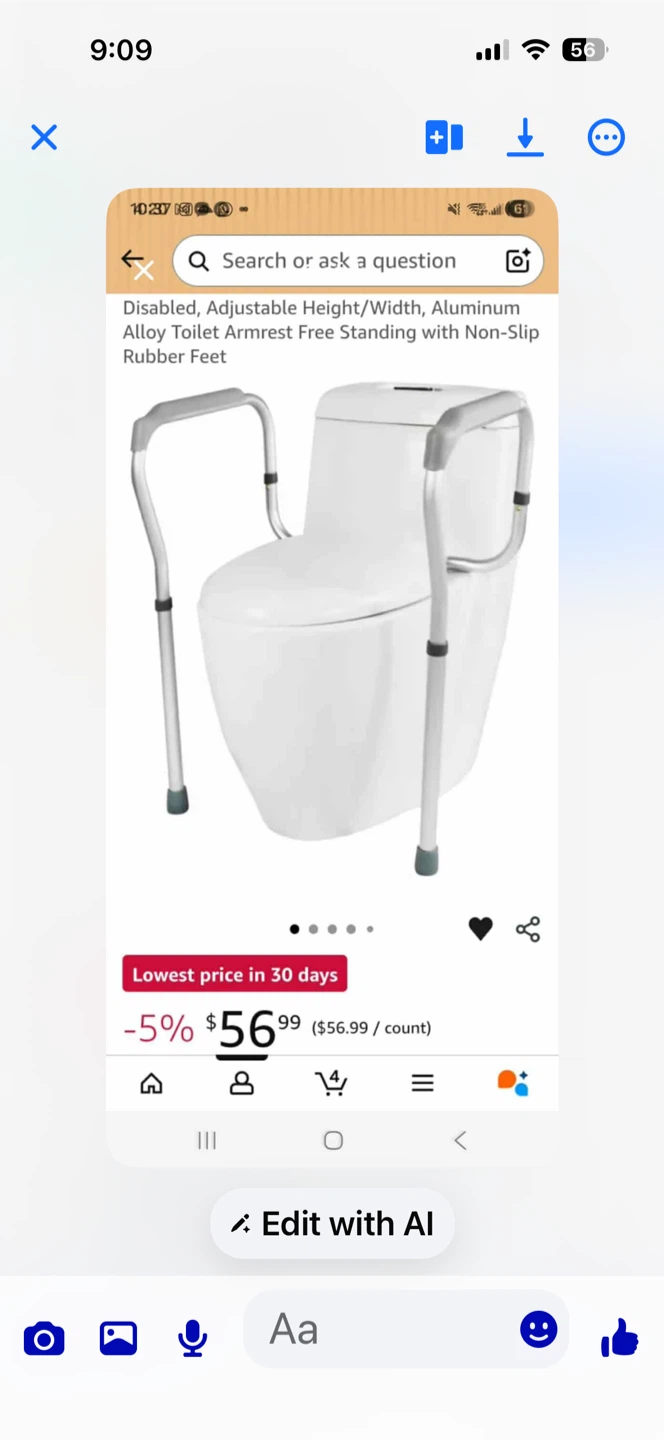 TORIBIO Toilet Safety Frame Grab Bars