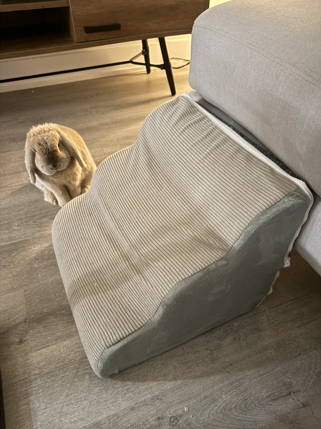 Pet Stairs for Dogs or Cats or Bunnies