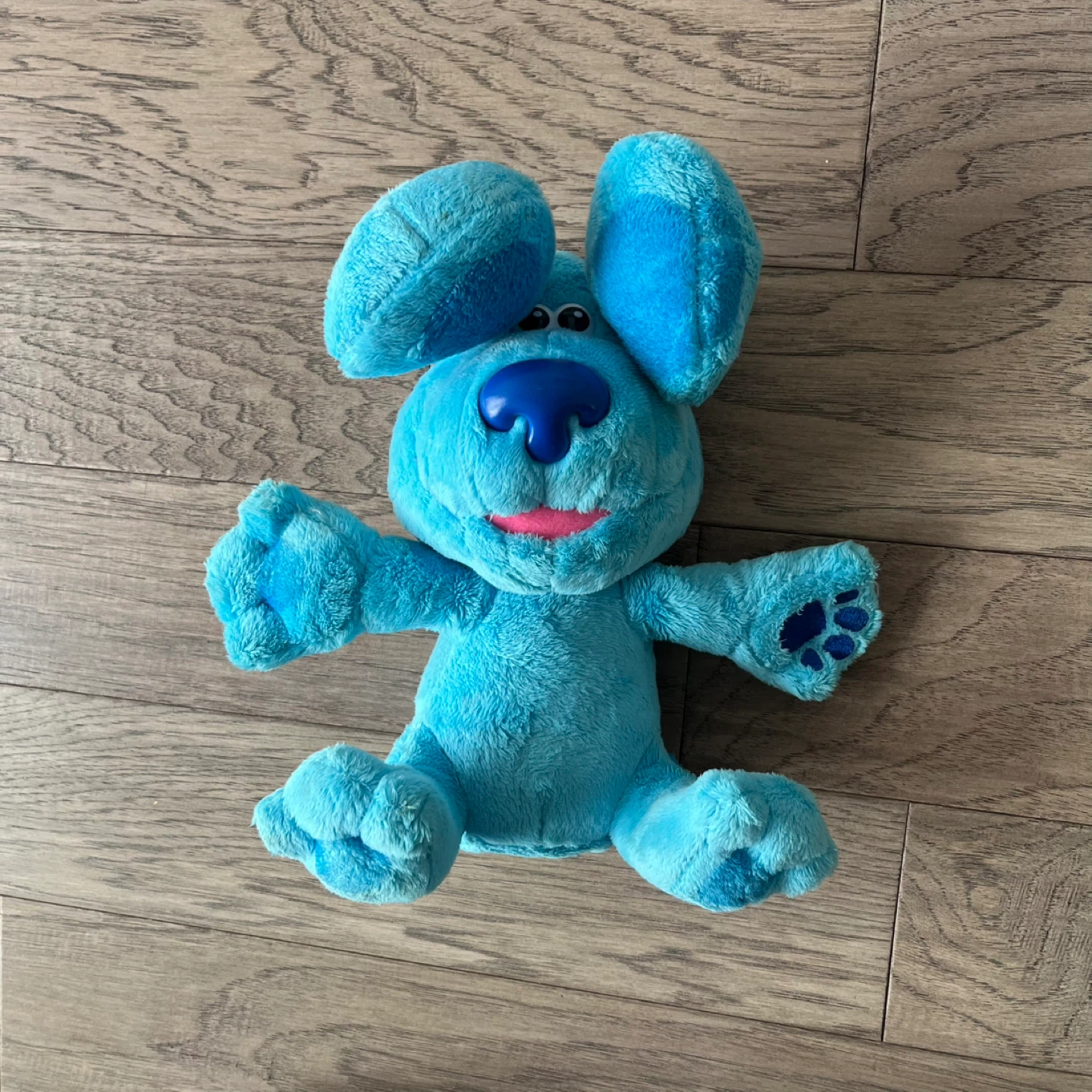 Blue's Clues Peek A Boo Plush Toy