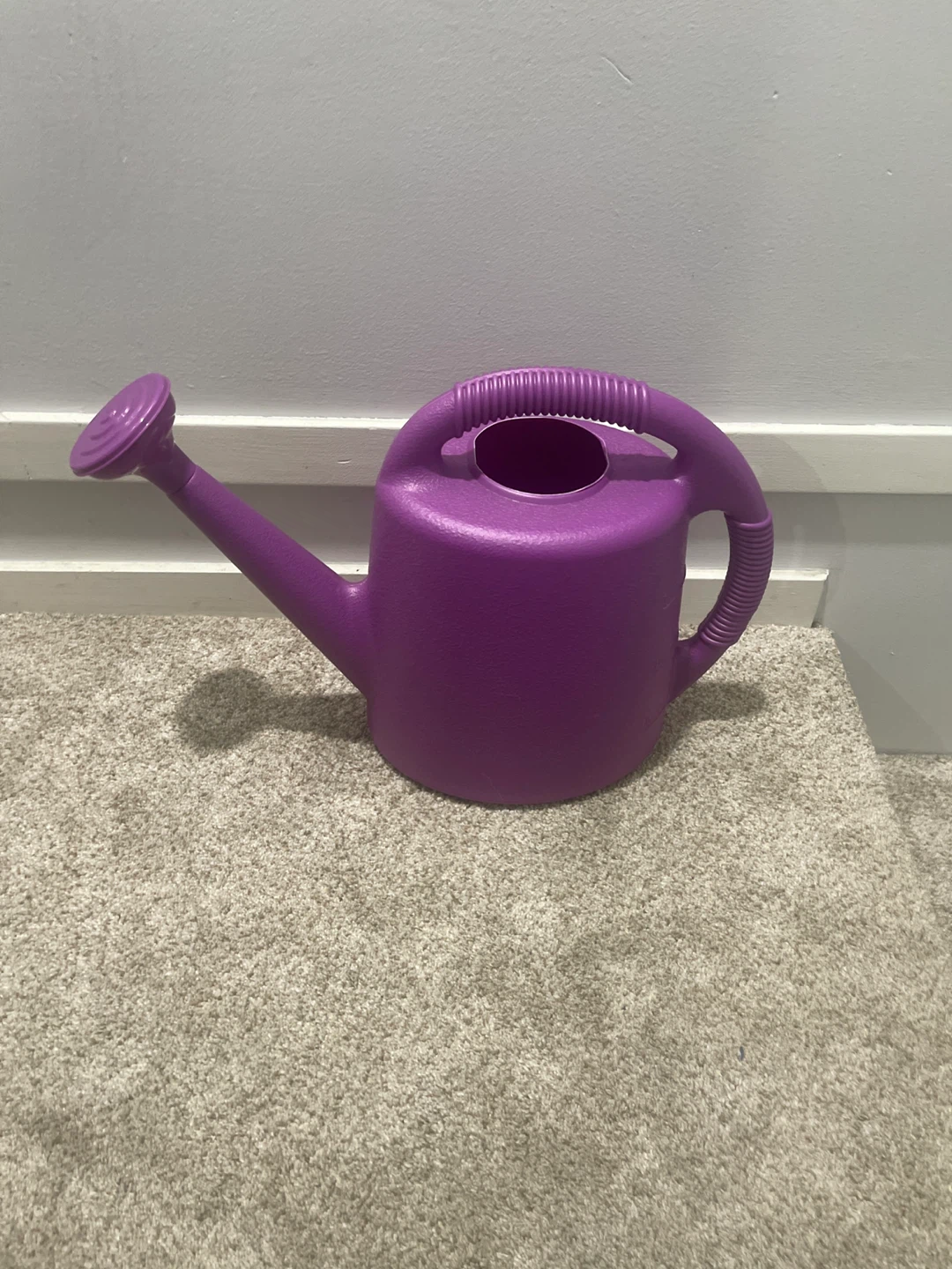Purple Plastic Watering Can