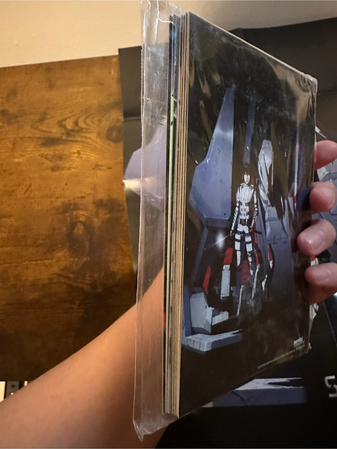 Knights of Sidonia Art & Poster - photo 5