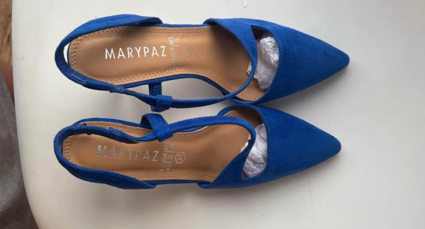 Mary Paz Blue Suede Pointed-Toe Flats