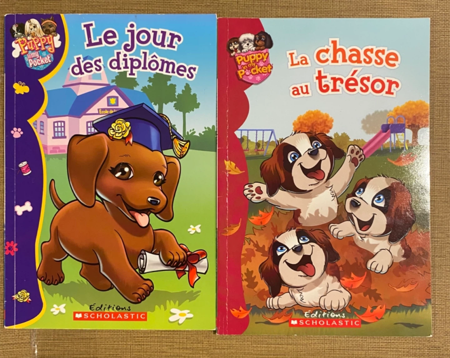 French Early Readers Set of 7 Books - photo 5
