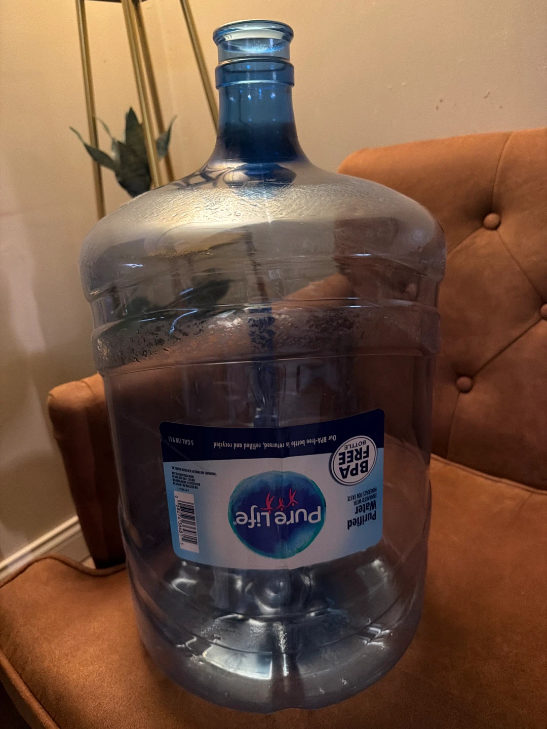 Pure Life 5 Gallon Purified Water Bottle