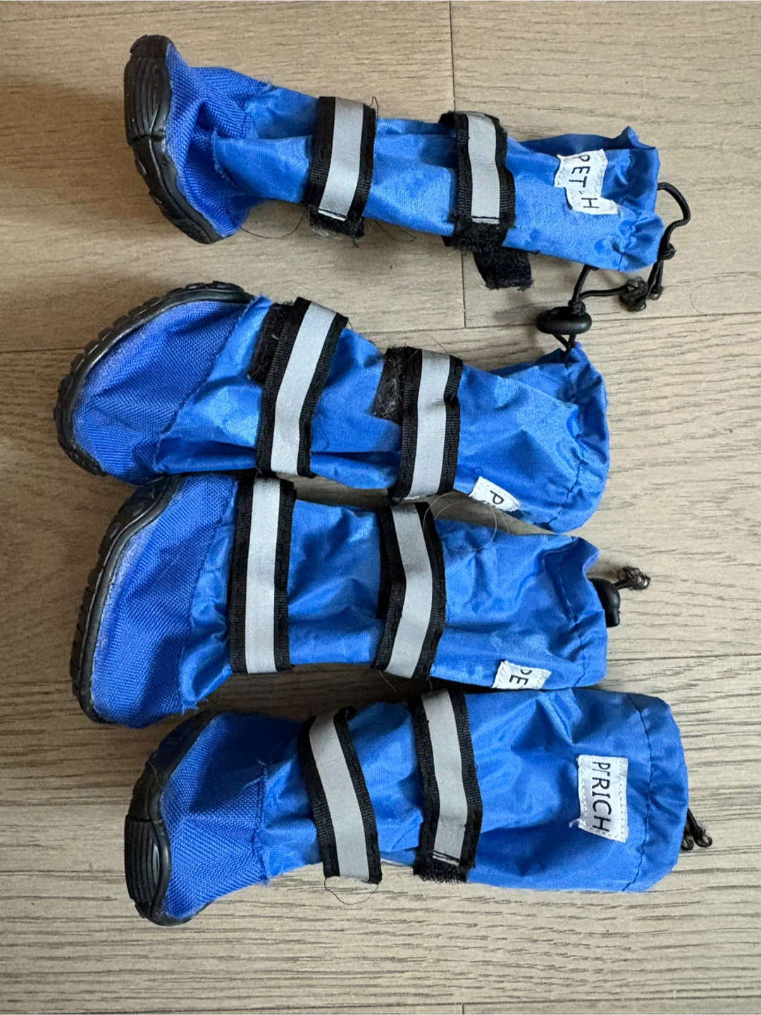 PRICH Blue Dog Boots (Set of 4) - Size L