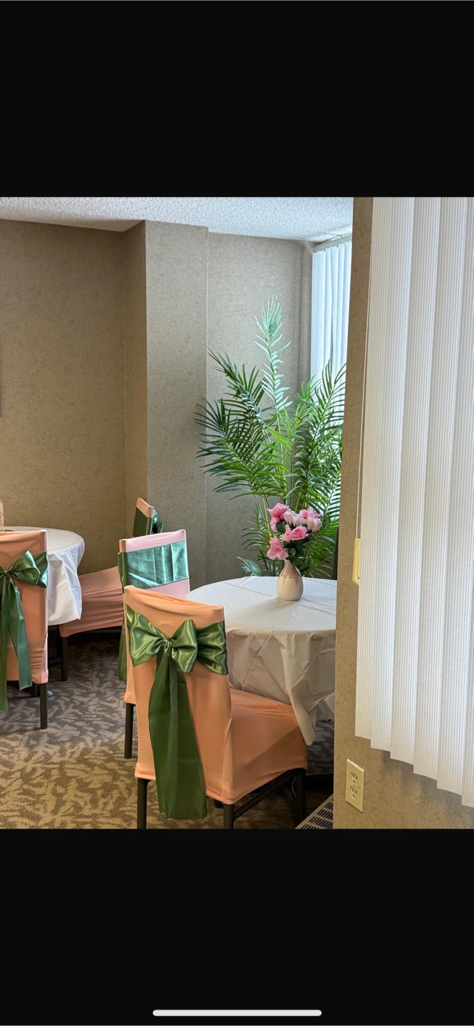 Pink Chair Covers
