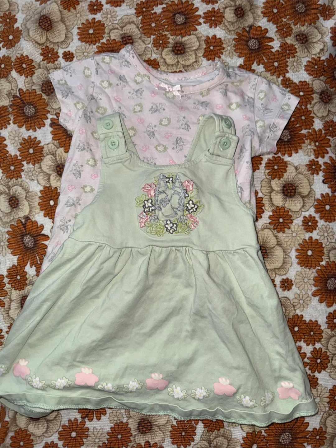 Baby Girls Clothes Bundle