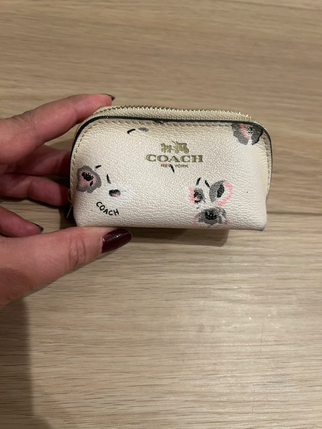 Cherry Blossom Coach Coin Pouch