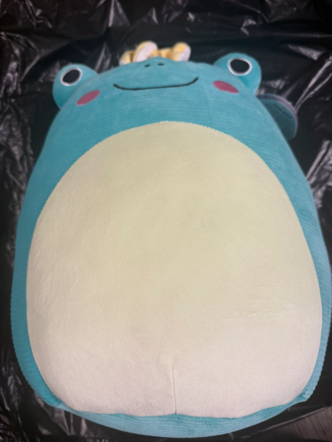 Aqua Frog Plush Pillow Toy