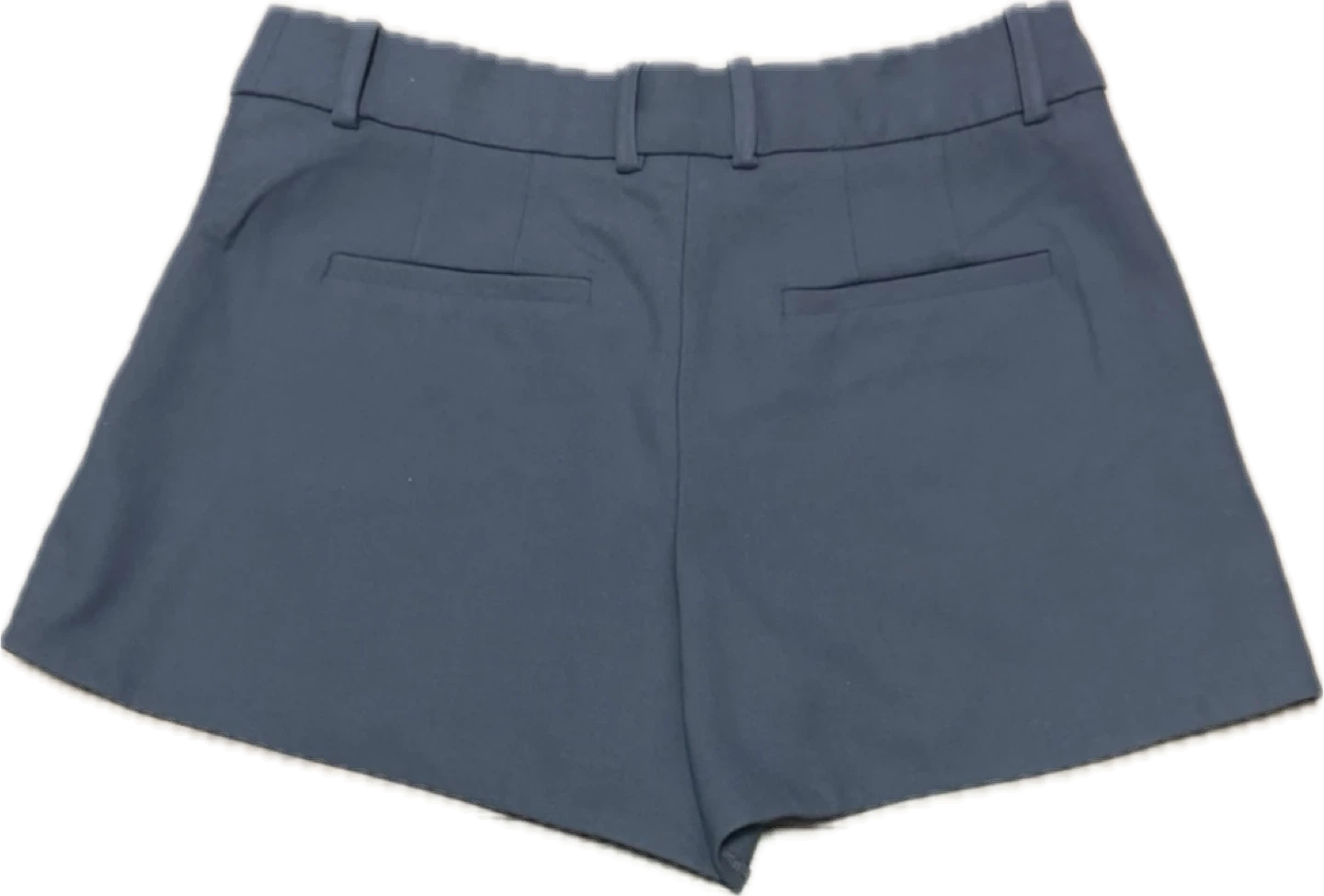 Aritzia Babaton Metropolis Shorts - photo 5