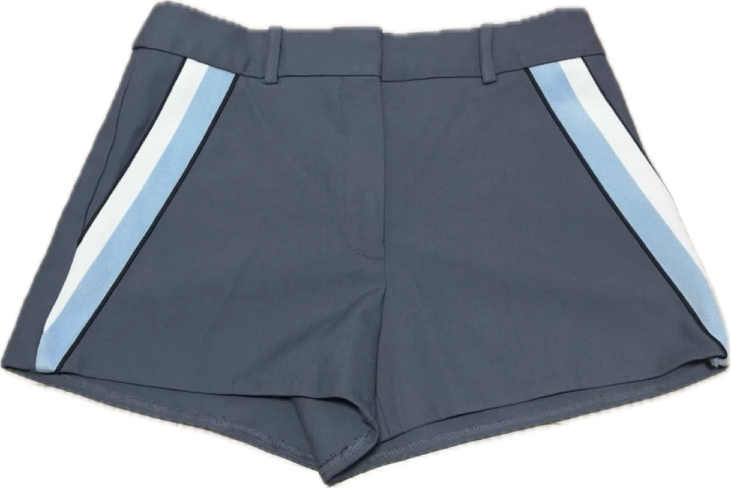 Aritzia Babaton Metropolis Shorts - photo 4