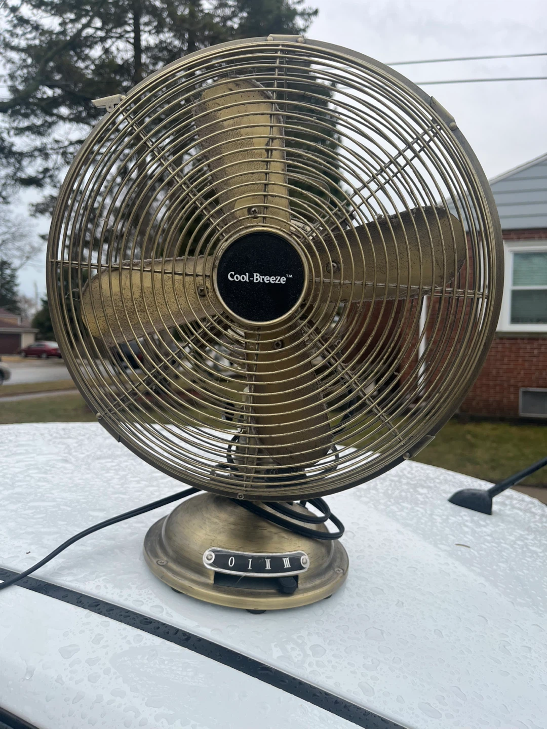 Cool-Breeze 12 Inch Desk Fan