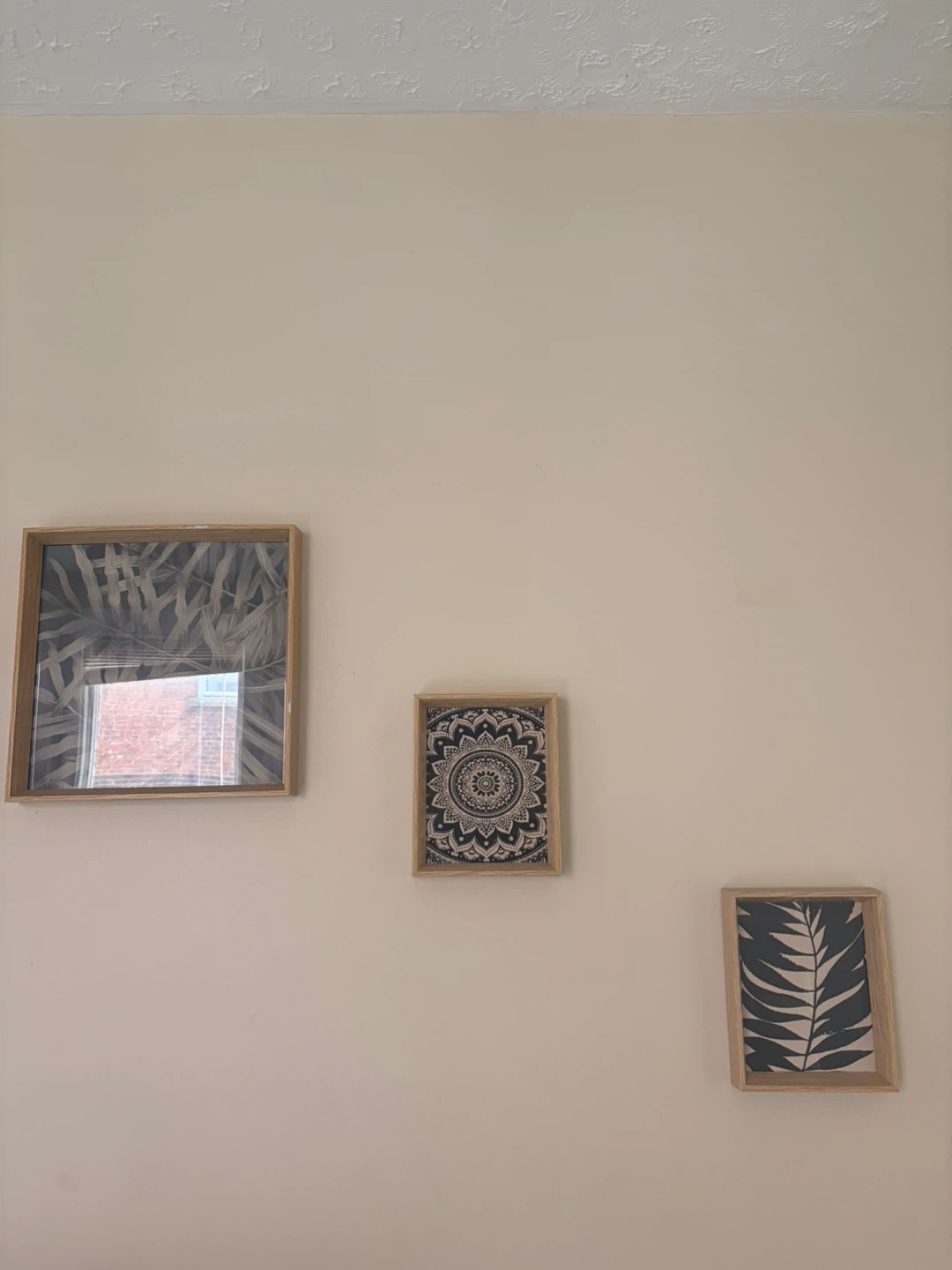 Set of 3 Framed Botanical Prints