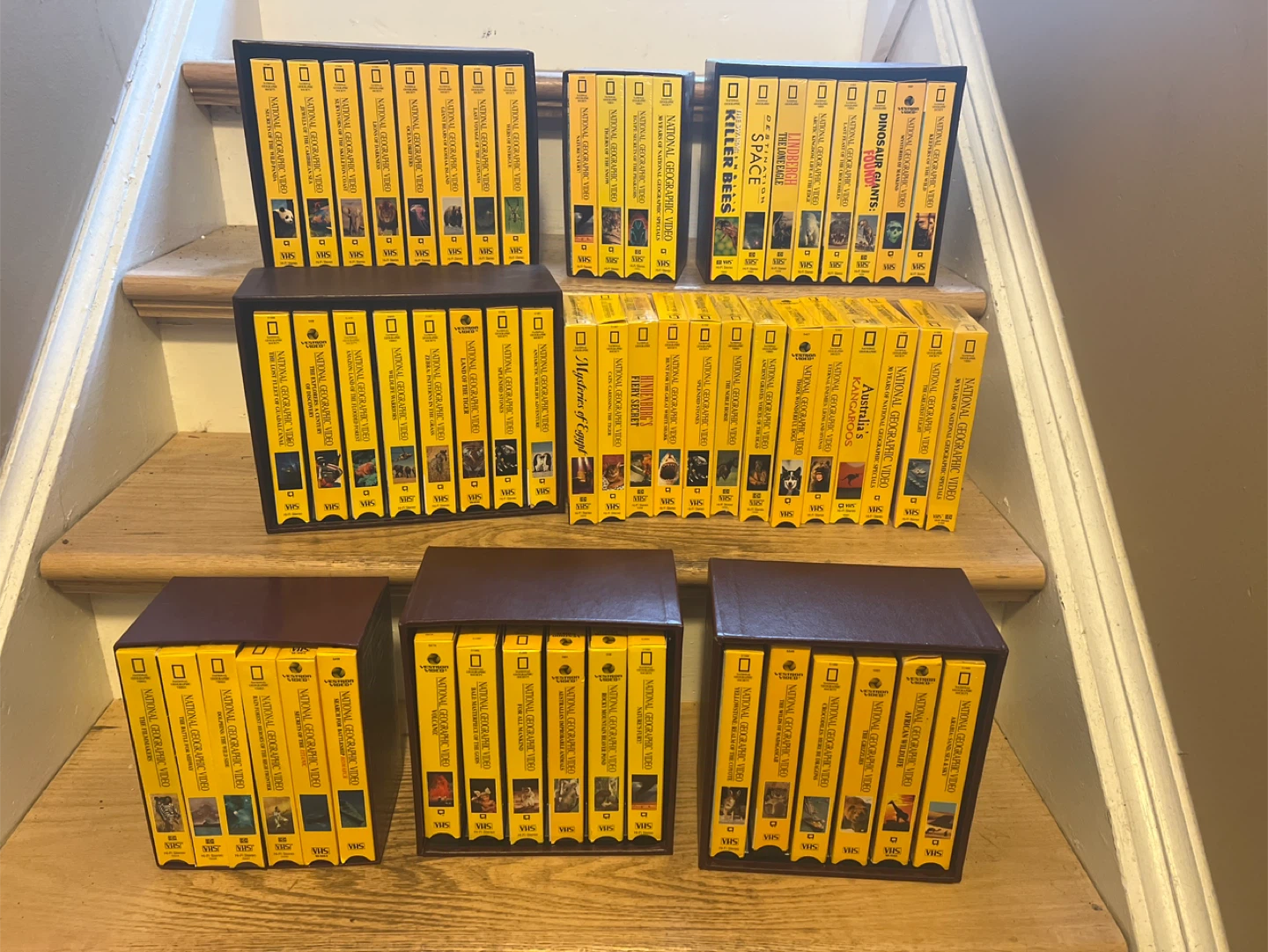 National Geographic VHS Video Collection