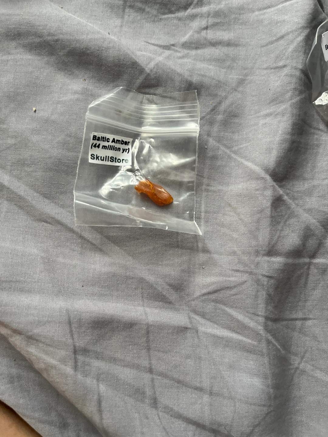 Baltic Amber Fossil (44 Million Yr)