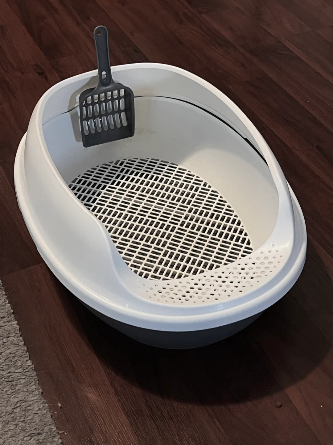Cat Litter Box with Scoop