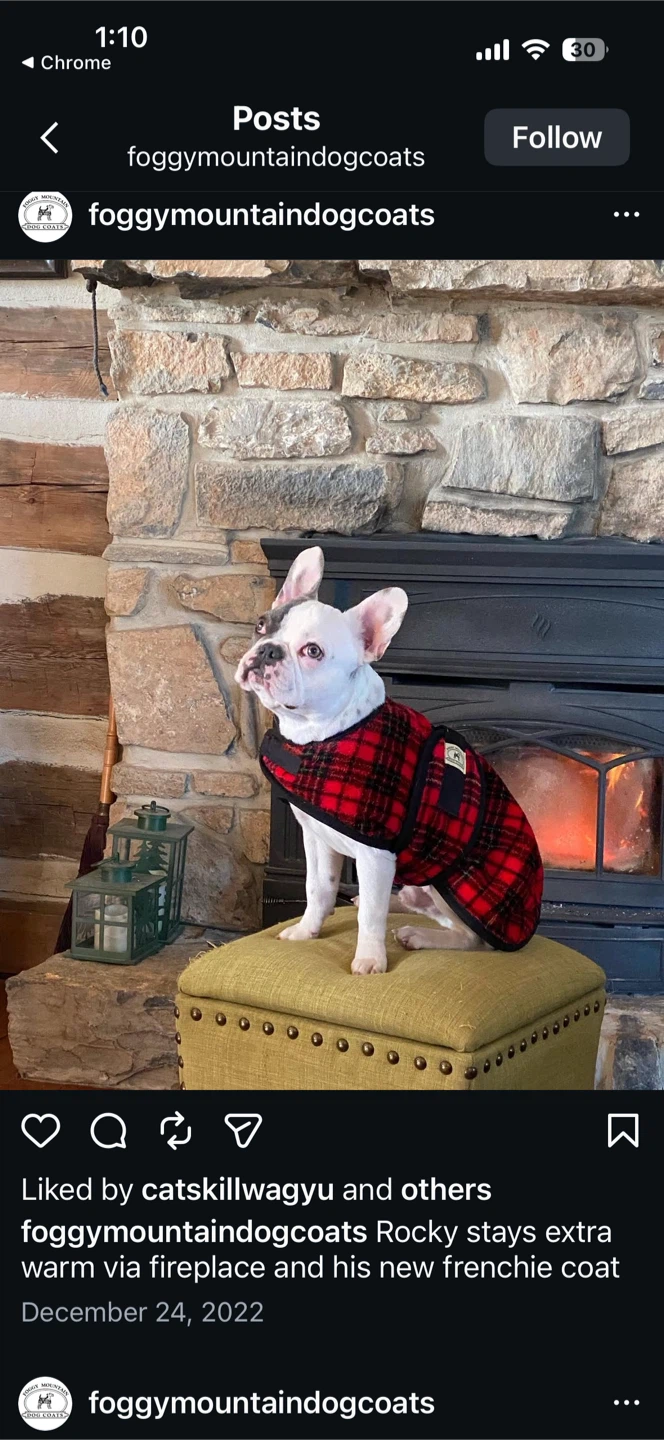 Foggy Mountain Dog Snuggler - Sweater/Coat - Red Tartan - photo 3