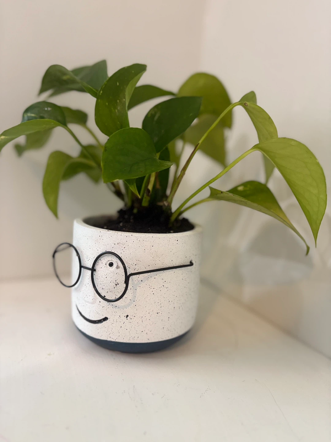 We have a handsome boy with messy hair🤓 - photo 2